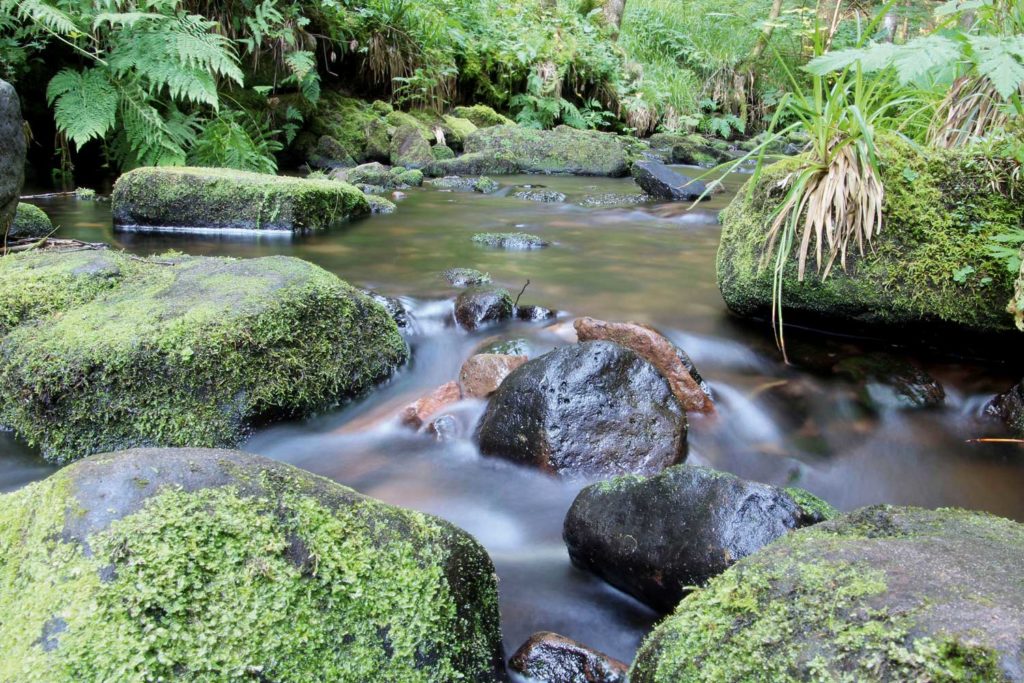 Hotel Sonne Baiersbronn: Wandern im Baiersbronner Wanderhimmel