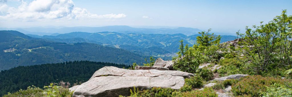 Hotel Sonne Baiersbronn: Region entdecken - Hoch hinaus