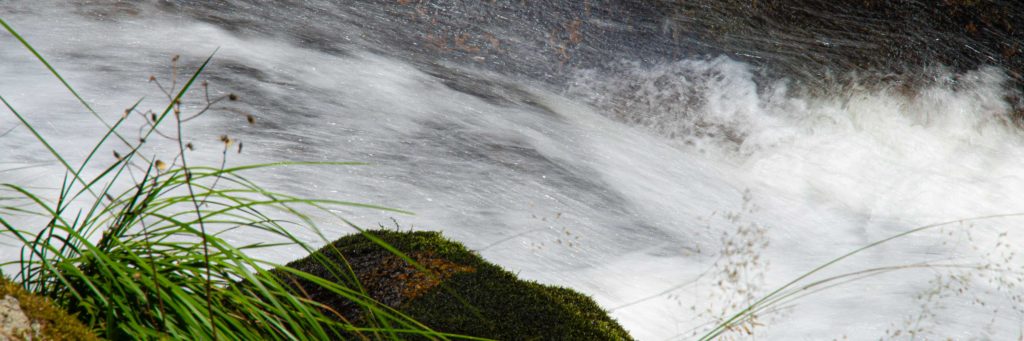 Hotel Sonne Baiersbronn: Region entdecken - Wasser, Wasser, Wasser